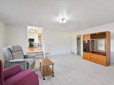 1046 E Carolina Ave, Fruita, CO 81521 photo 9