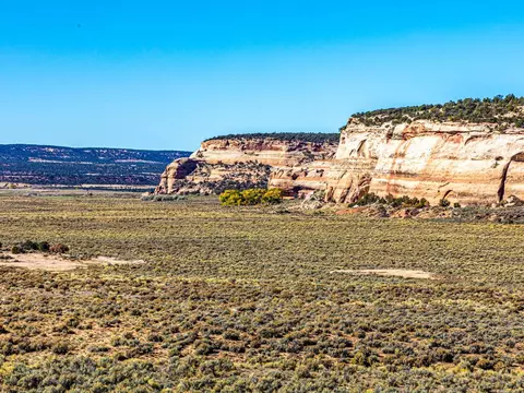 Tbd Ds Road, Glade Park, CO 81523