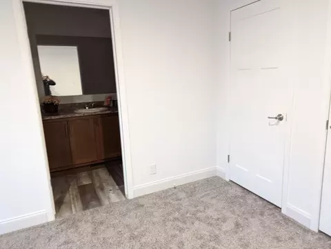 249 Clements Way, Fruita, CO 81521 photo 25