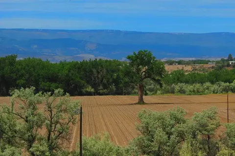 3337 Ash Mesa Rd, Delta, CO 81416