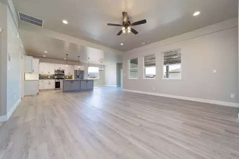977 Red Globe Dr, Fruita, CO 81521 photo 9