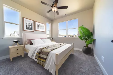 977 Red Globe Dr, Fruita, CO 81521 photo 19