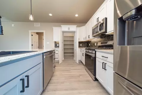 977 Red Globe Dr, Fruita, CO 81521 photo 11