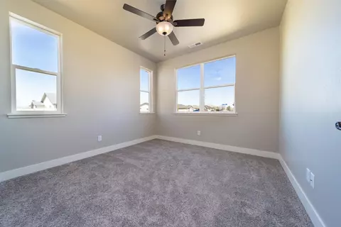 977 Red Globe Dr, Fruita, CO 81521 photo 18