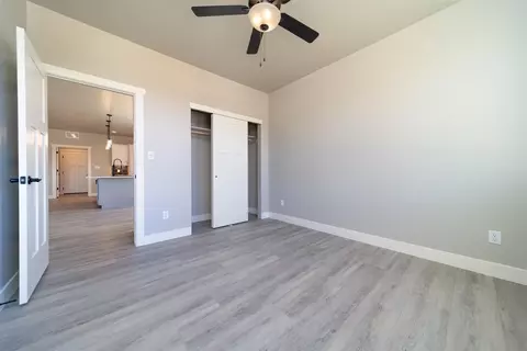 977 Red Globe Dr, Fruita, CO 81521 photo 14