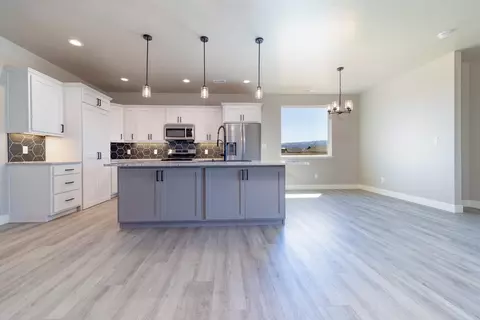 977 Red Globe Dr, Fruita, CO 81521 photo 5