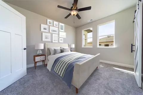 977 Red Globe Dr, Fruita, CO 81521 photo 27