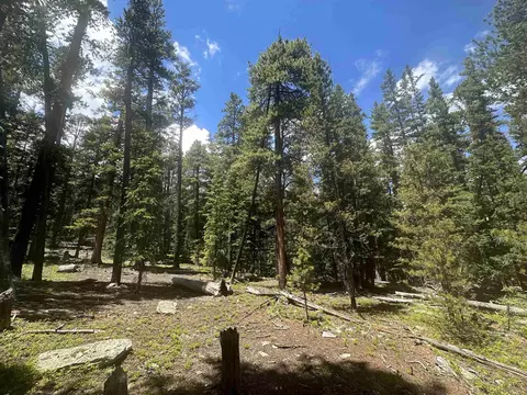 Tbd Evenden Road, Pitkin, CO 81241
