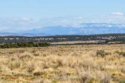 Tbd Indian Camp Road, Glade Park, CO 81523