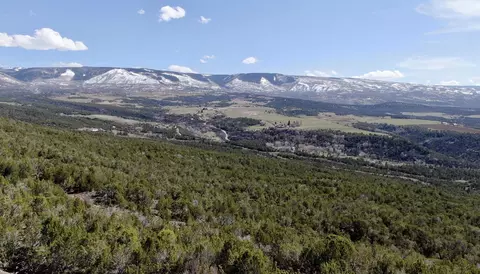 Tbd 55 Road, Collbran, CO 81624