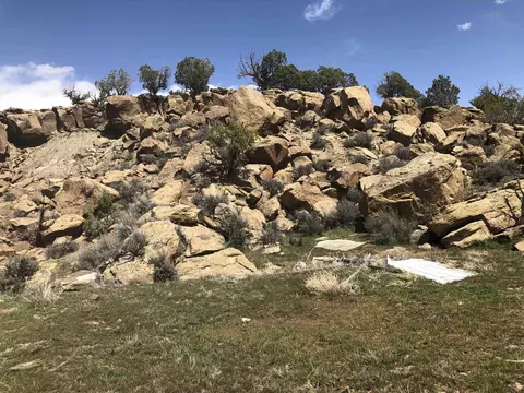 13871 45 12 Rd, Mesa, CO 81643