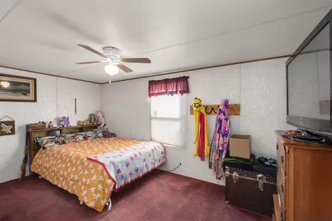 525 Virgo Way, Fruita, CO 81521 photo 11