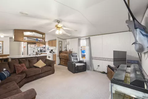 525 Virgo Way, Fruita, CO 81521 photo 3