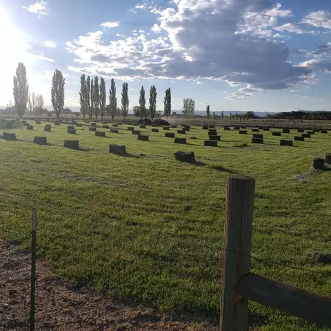2024 L Rd, Fruita, CO 81521 photo 32