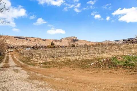 3553 12 E Rd, Palisade, CO 81526 photo 7