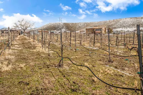 3553 12 E Rd, Palisade, CO 81526 photo 8