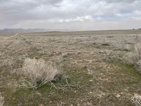 Tbd 16 Road, Loma, CO 81524