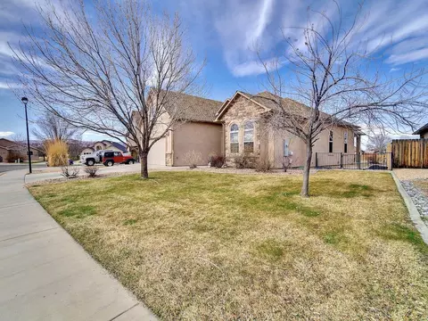 303 Belden Ct, Fruita, CO 81521 photo 27