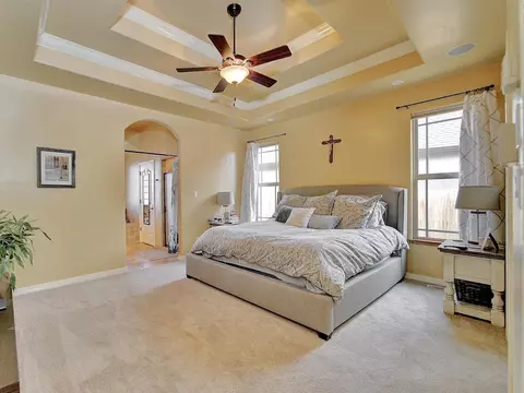 303 Belden Ct, Fruita, CO 81521 photo 13