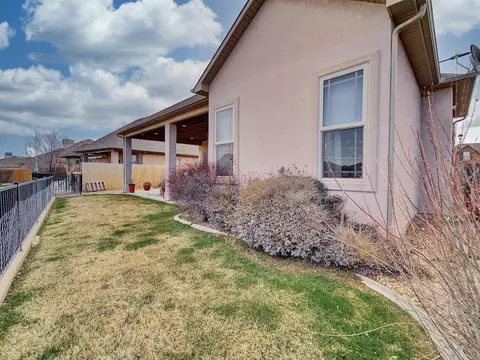 303 Belden Ct, Fruita, CO 81521 photo 29