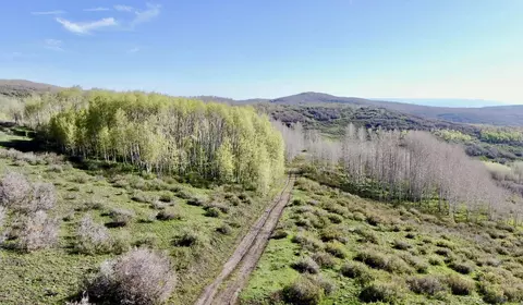 Tbd Divide Road, Grand Junction, CO 81527