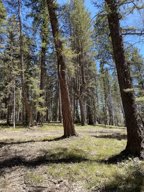 1700 Spruce Rd, Cimarron, CO 81220