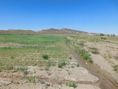 Tbd 12 1/2 Road, Loma, CO 81524