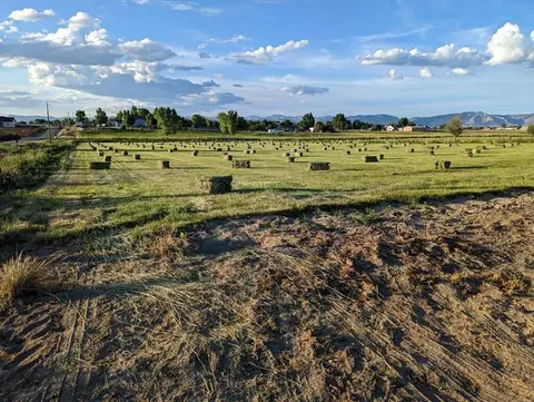 1754 Waters Ln, Fruita, CO 81521 photo 30