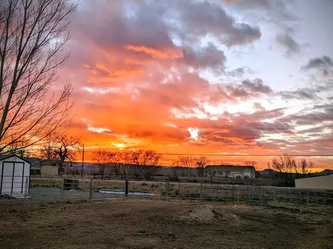 1754 Waters Ln, Fruita, CO 81521 photo 7