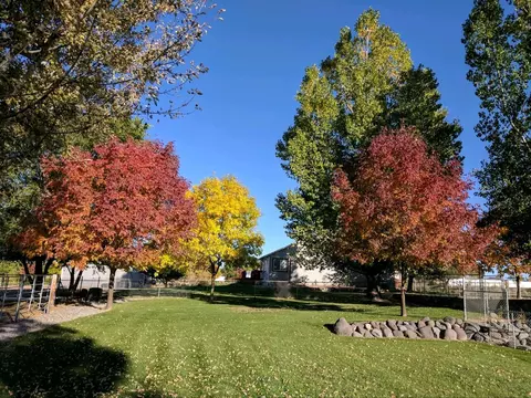 1754 Waters Ln, Fruita, CO 81521 photo 4