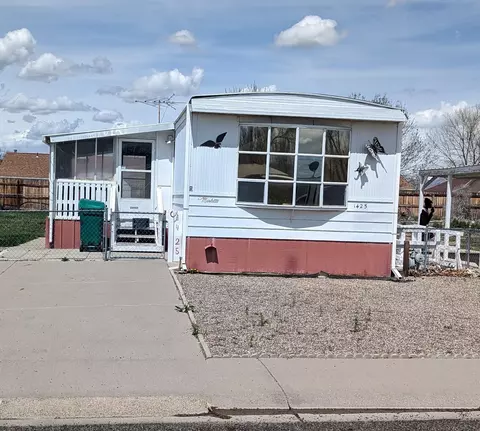 1425 Aquarius Ave, Fruita, CO 81521