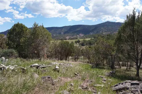 14550 N Ouray Ct, Collbran, CO 81624