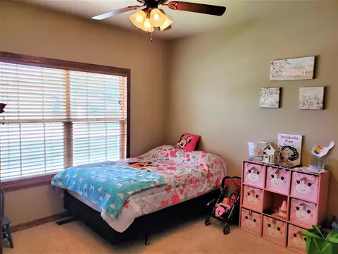 800 Esprit Ln, Fruita, CO 81521 photo 23