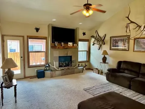 800 Esprit Ln, Fruita, CO 81521 photo 6
