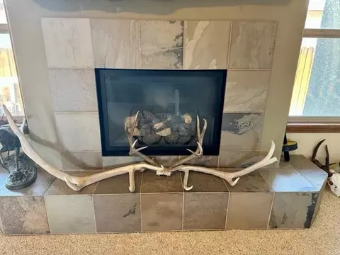 800 Esprit Ln, Fruita, CO 81521 photo 9