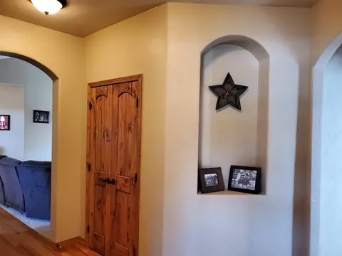800 Esprit Ln, Fruita, CO 81521 photo 27