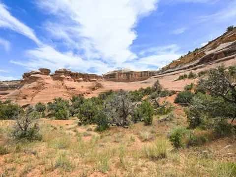 1347 I 12 Rd, Fruita, CO 81521