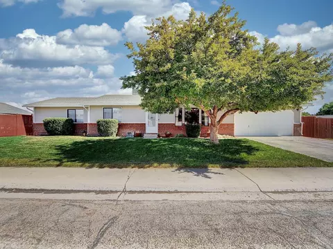 1105 Sunflower Ave, Fruita, CO 81521