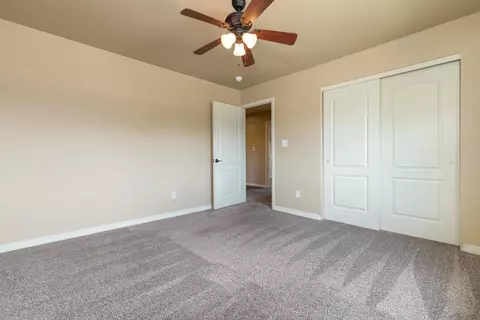 801 Esprit Ln, Fruita, CO 81521 photo 16