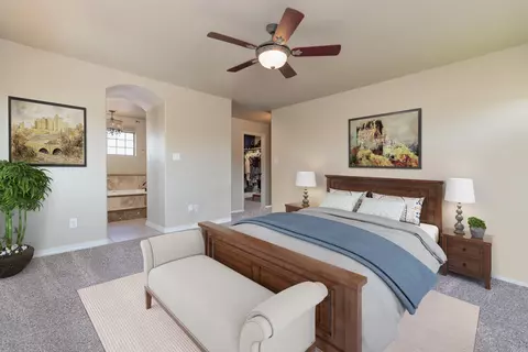 801 Esprit Ln, Fruita, CO 81521 photo 12