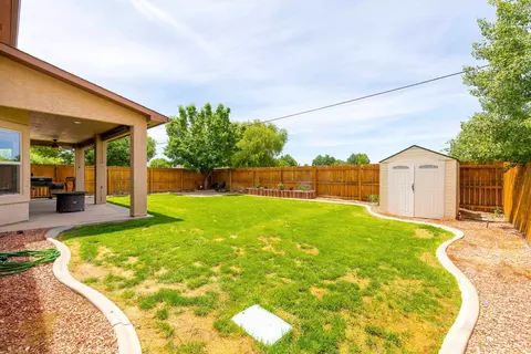 801 Esprit Ln, Fruita, CO 81521 photo 30