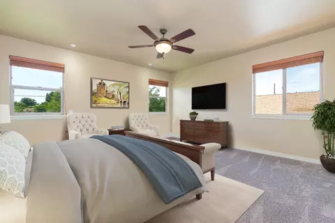 801 Esprit Ln, Fruita, CO 81521 photo 11
