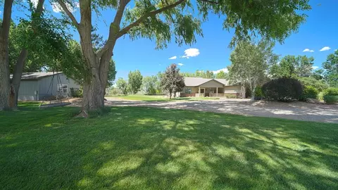 1455 Castle Ct, Fruita, CO 81521 photo 35