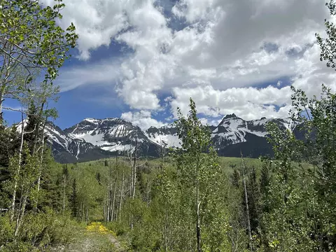 Tbd County Road 5 #TRACT 9, Ridgway, CO 81432