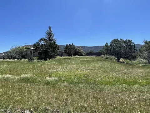 15452 Red Mountain Ln, Collbran, CO 81624