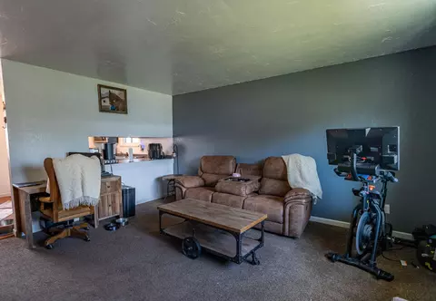 1067 E Carolina Ave, Fruita, CO 81521 photo 4