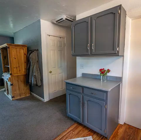 1067 E Carolina Ave, Fruita, CO 81521 photo 8