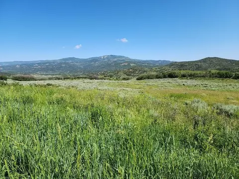 Lot 18 Harrison Creek Road, Collbran, CO 81624