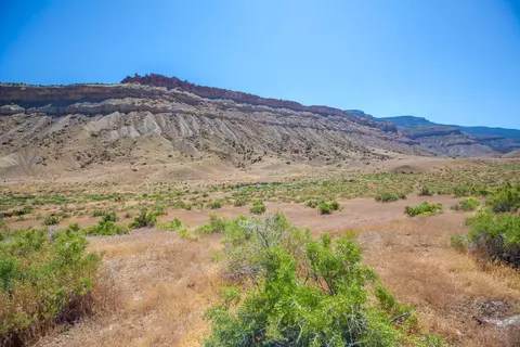 Tbd 39 Road, Palisade, CO 81526