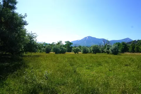 Tbd Atlantic Avenue, Paonia, CO 81428